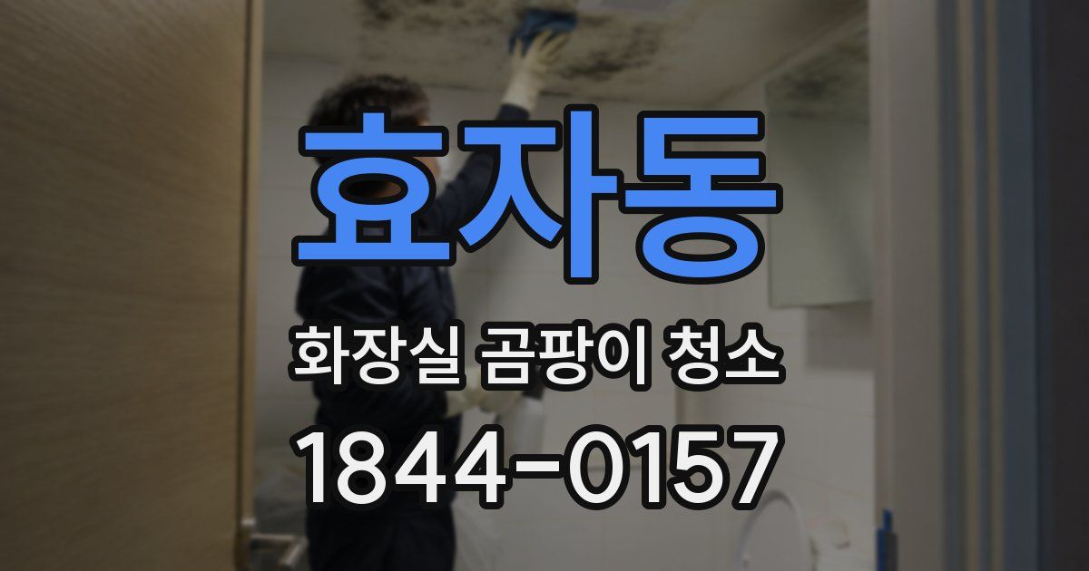 효자동 화장실 곰팡이 청소