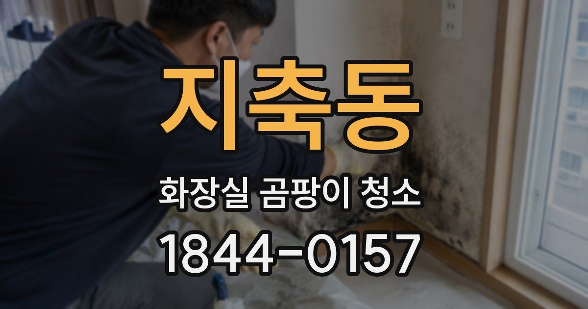 지축동 화장실 곰팡이 청소