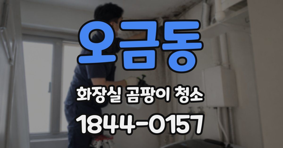 오금동 화장실 곰팡이 청소