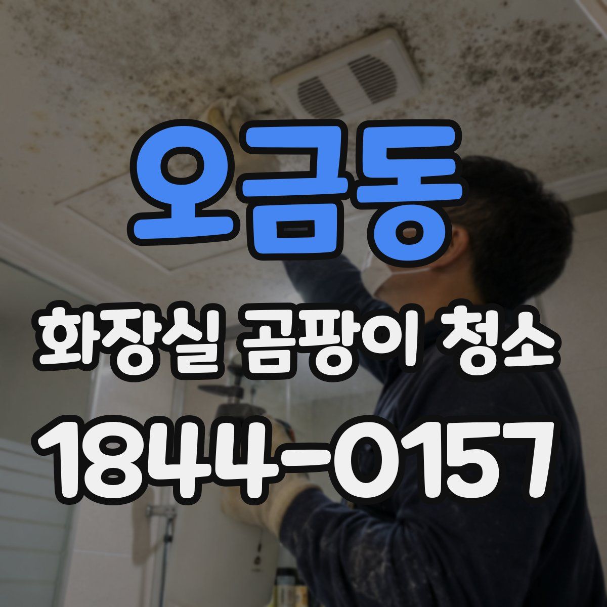 오금동 화장실 곰팡이 청소