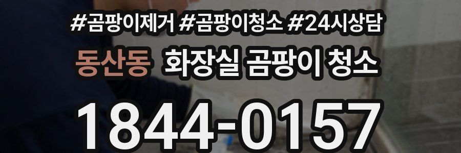 동산동 화장실 곰팡이 청소