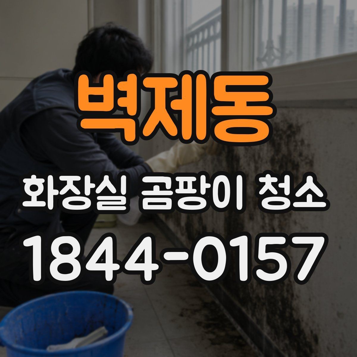 벽제동 화장실 곰팡이 청소 배관 연결부에 반복되는 자국을 살피는 방법