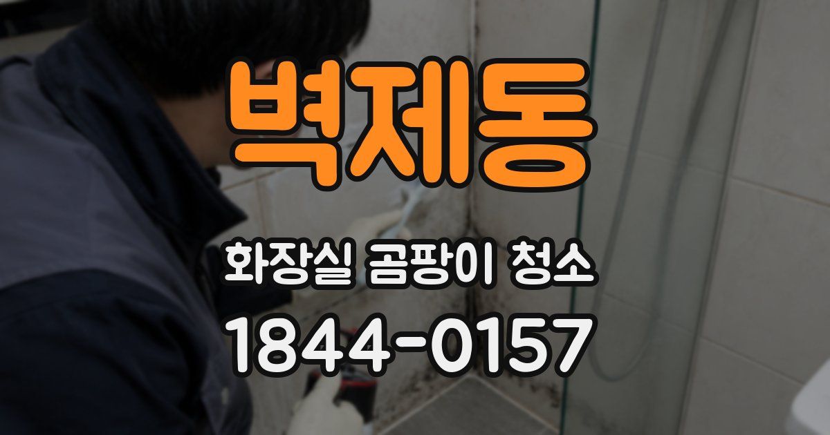 벽제동 화장실 곰팡이 청소