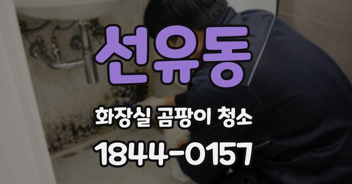 선유동 화장실 곰팡이 청소