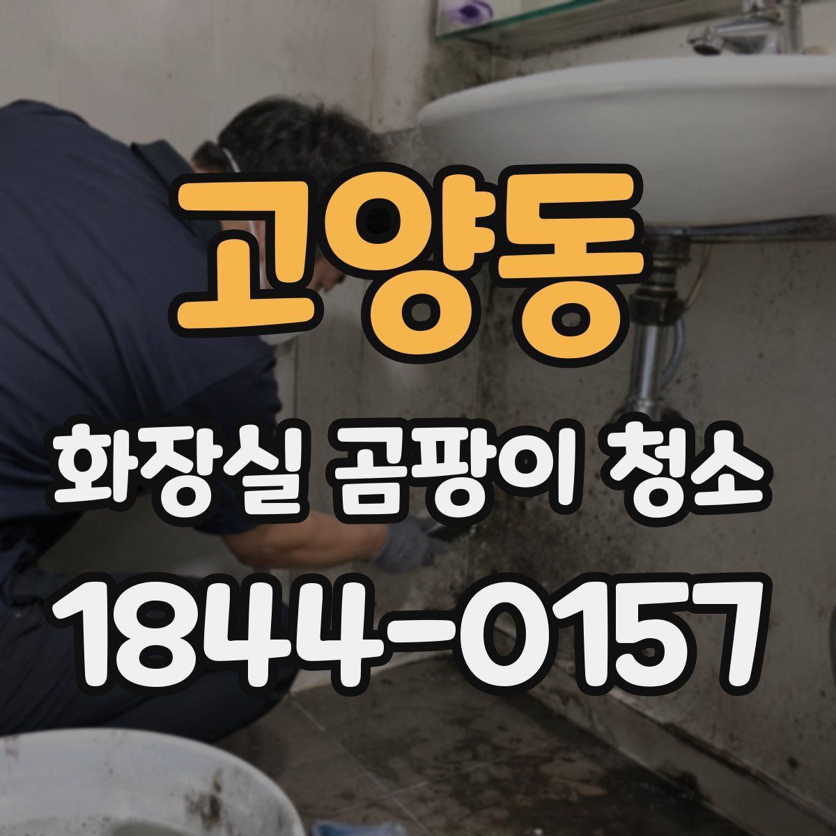고양동 화장실 곰팡이 청소