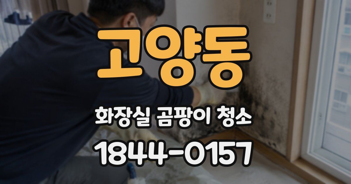 고양동 화장실 곰팡이 청소