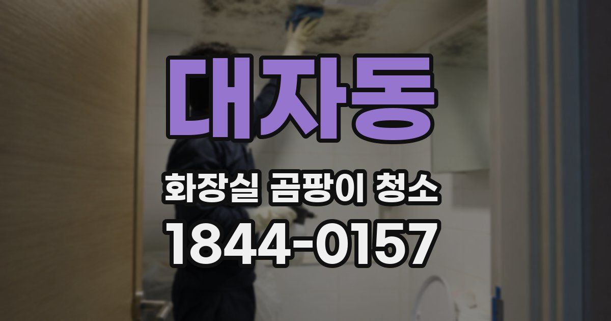 대자동 화장실 곰팡이 청소