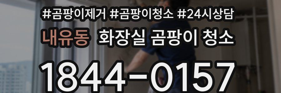 내유동 화장실 곰팡이 청소