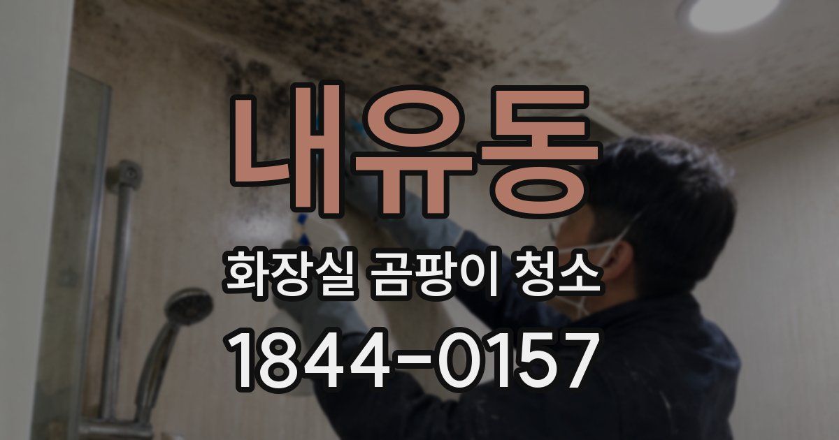 내유동 화장실 곰팡이 청소