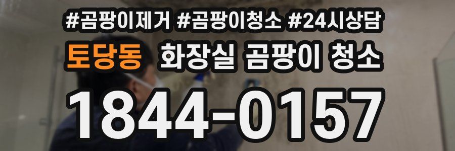 토당동 화장실 곰팡이 청소
