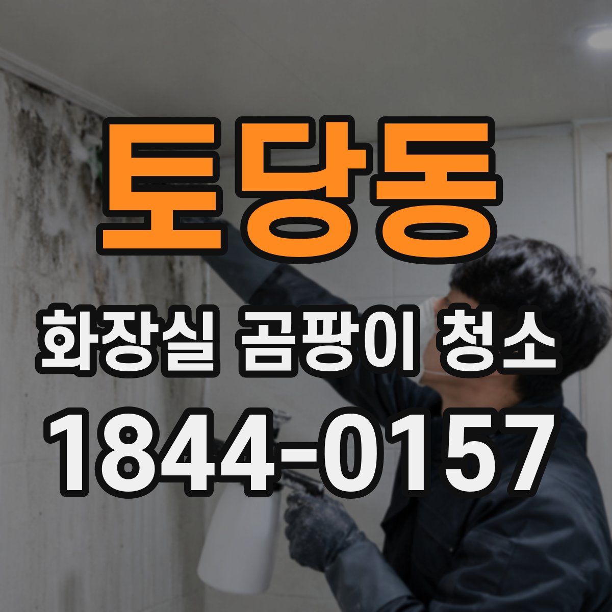 토당동 화장실 곰팡이 청소