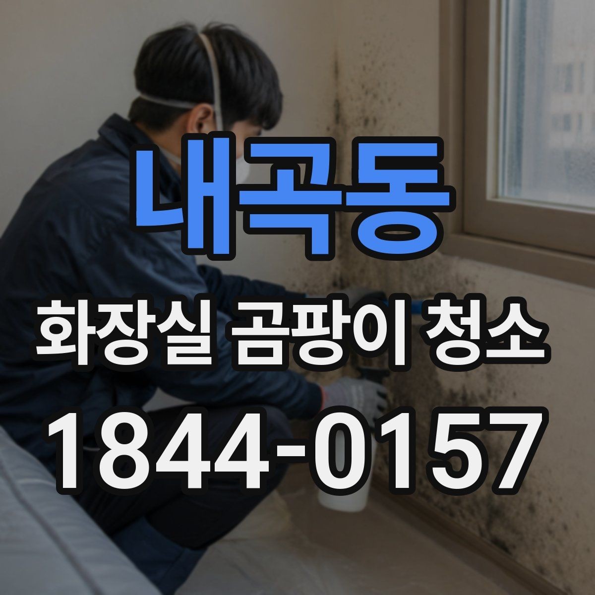 내곡동 화장실 곰팡이 청소 세제별로 남는 냄새와 마감 차이