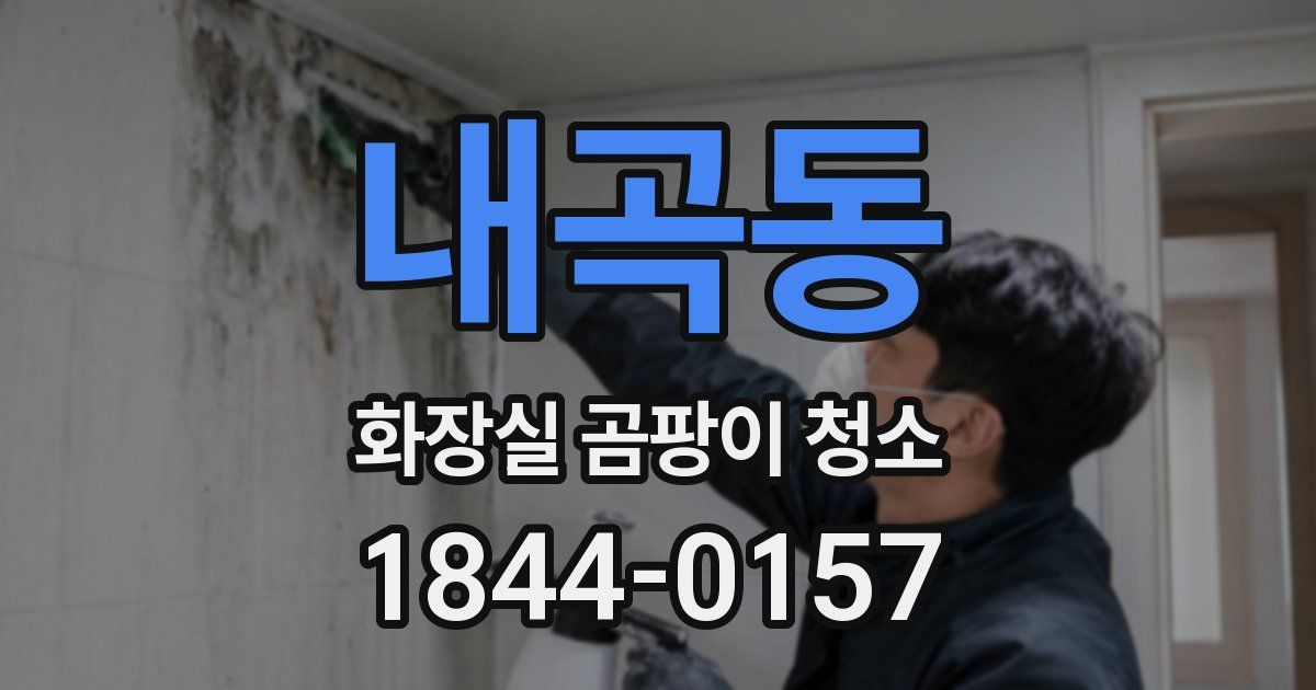 내곡동 화장실 곰팡이 청소