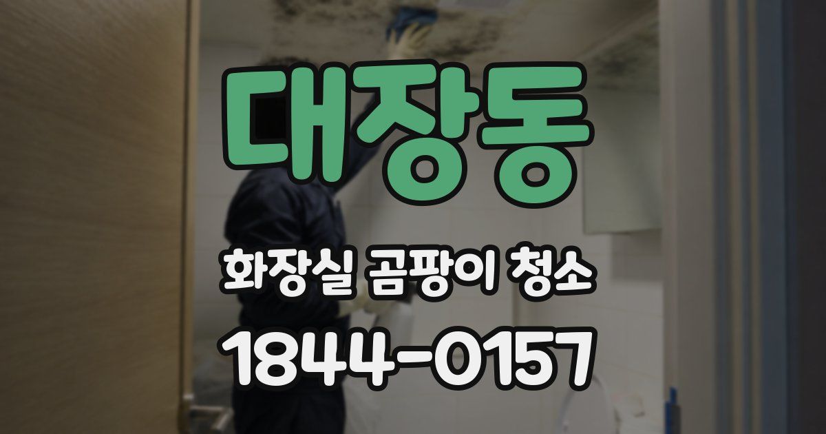 대장동 화장실 곰팡이 청소