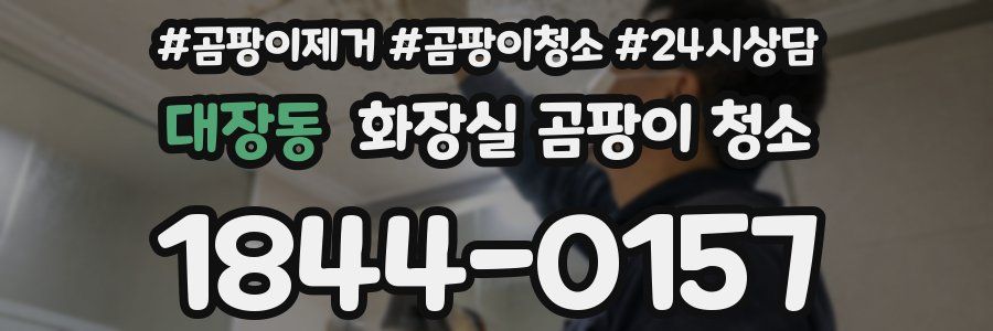 대장동 화장실 곰팡이 청소