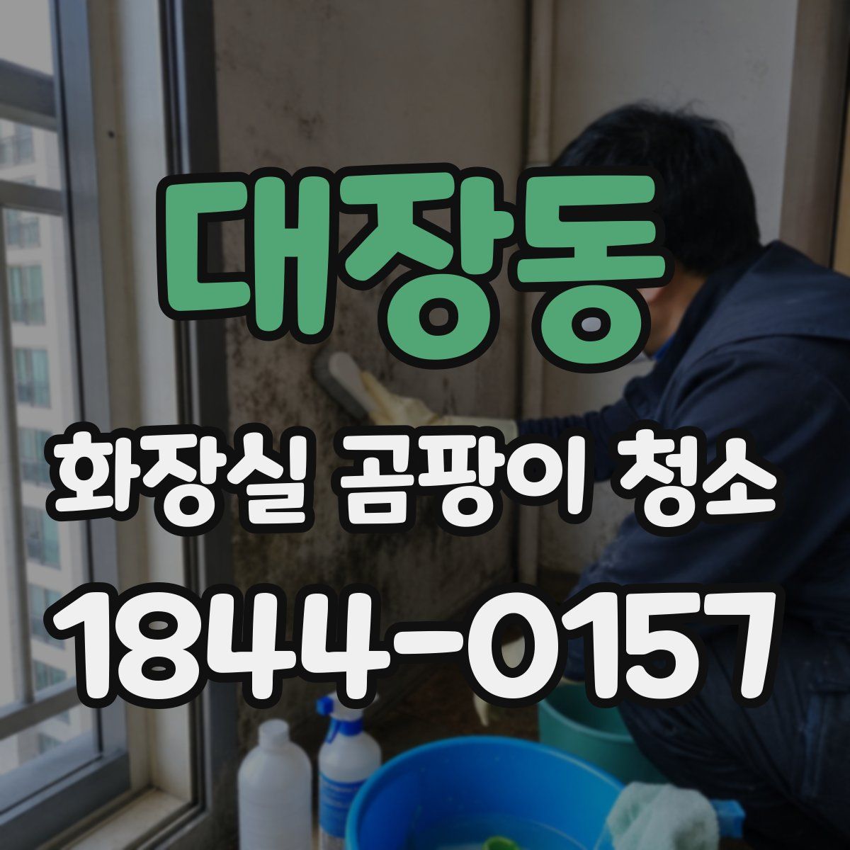 대장동 화장실 곰팡이 청소