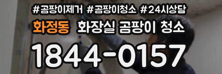 화정동 화장실 곰팡이 청소