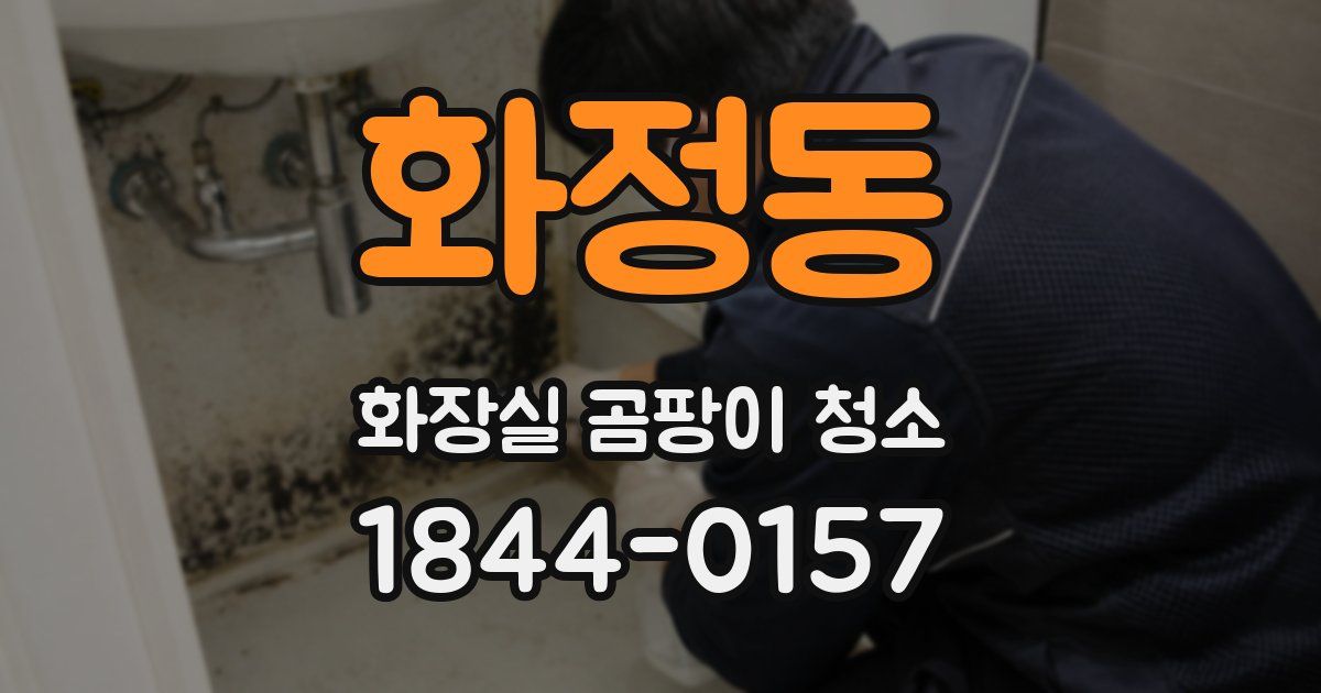 화정동 화장실 곰팡이 청소