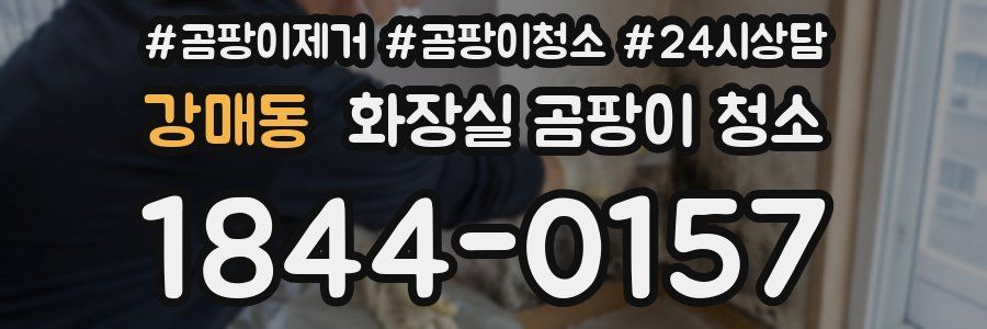 강매동 화장실 곰팡이 청소