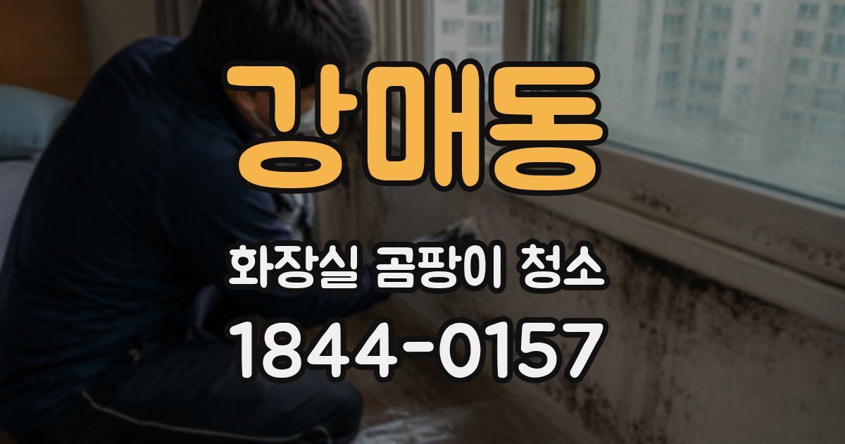 강매동 화장실 곰팡이 청소