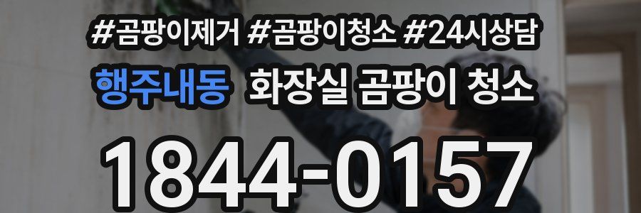 행주내동 화장실 곰팡이 청소