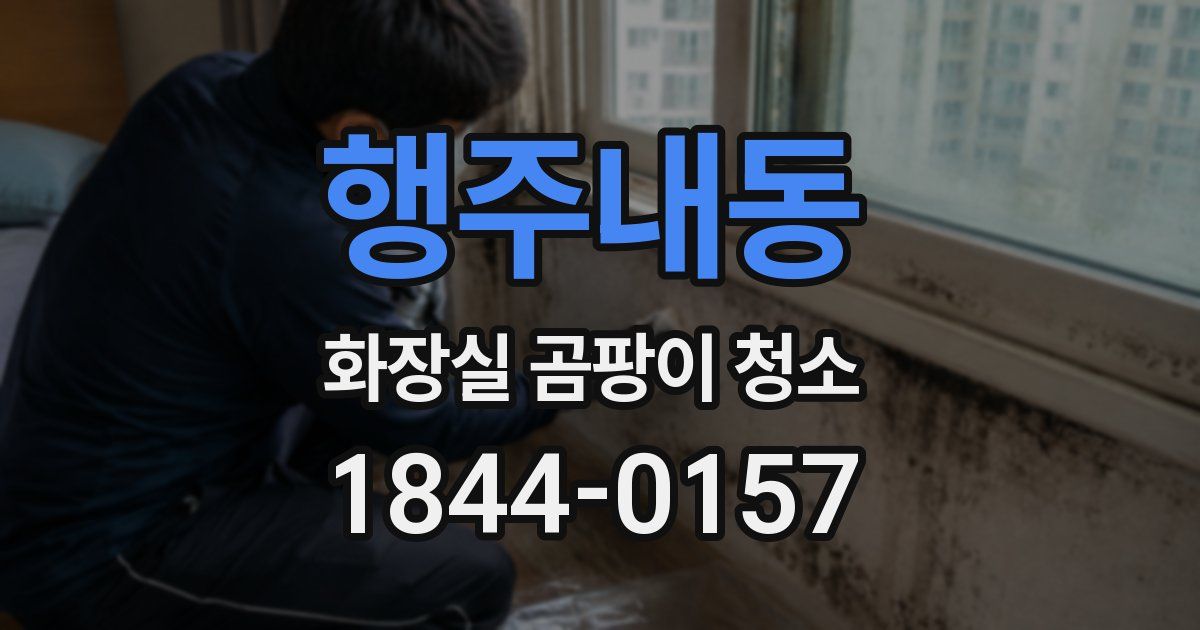 행주내동 화장실 곰팡이 청소