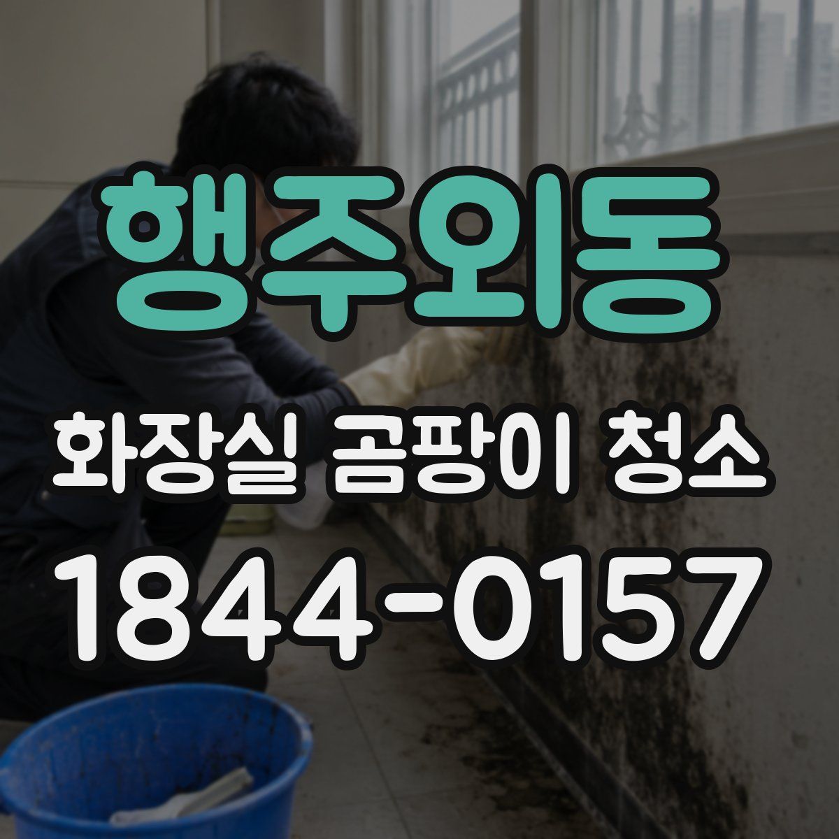 행주외동 화장실 곰팡이 청소