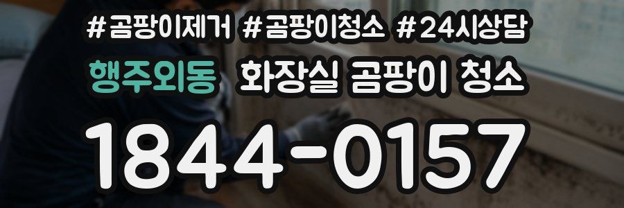 행주외동 화장실 곰팡이 청소