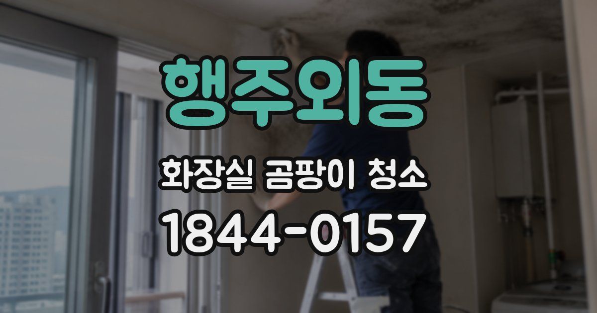 행주외동 화장실 곰팡이 청소