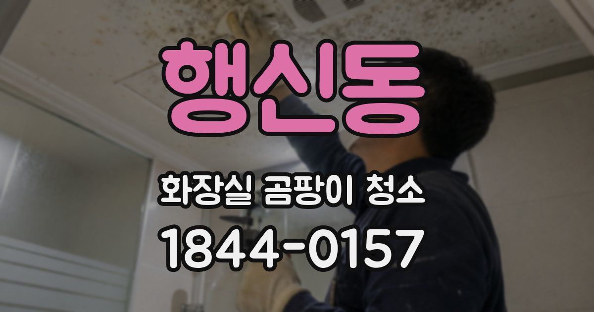 행신동 화장실 곰팡이 청소