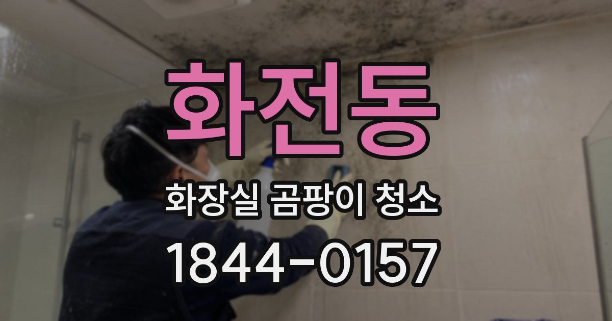 화전동 화장실 곰팡이 청소