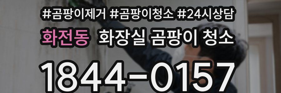 화전동 화장실 곰팡이 청소