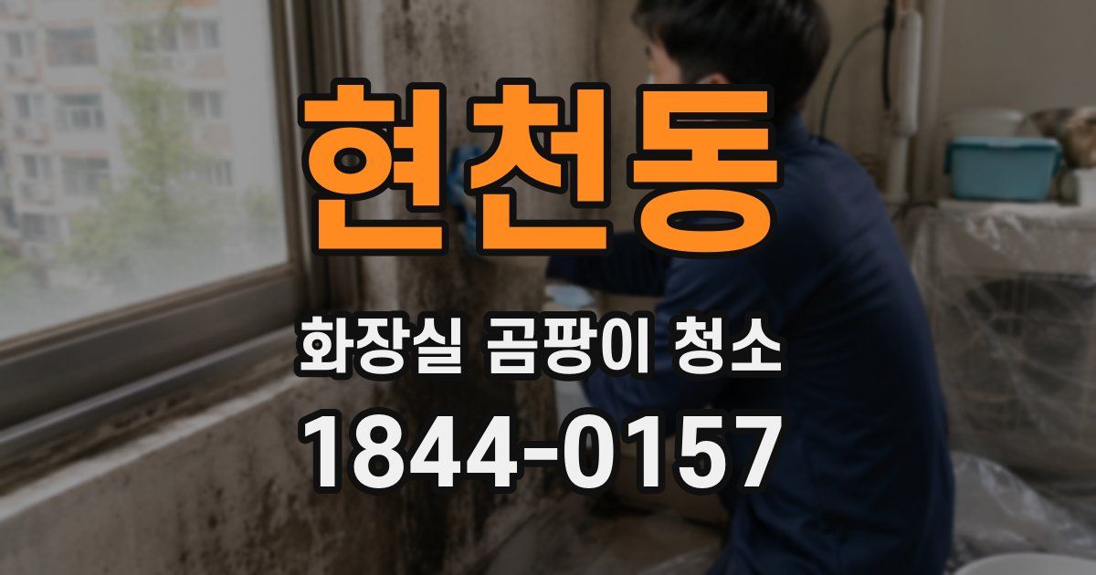 현천동 화장실 곰팡이 청소