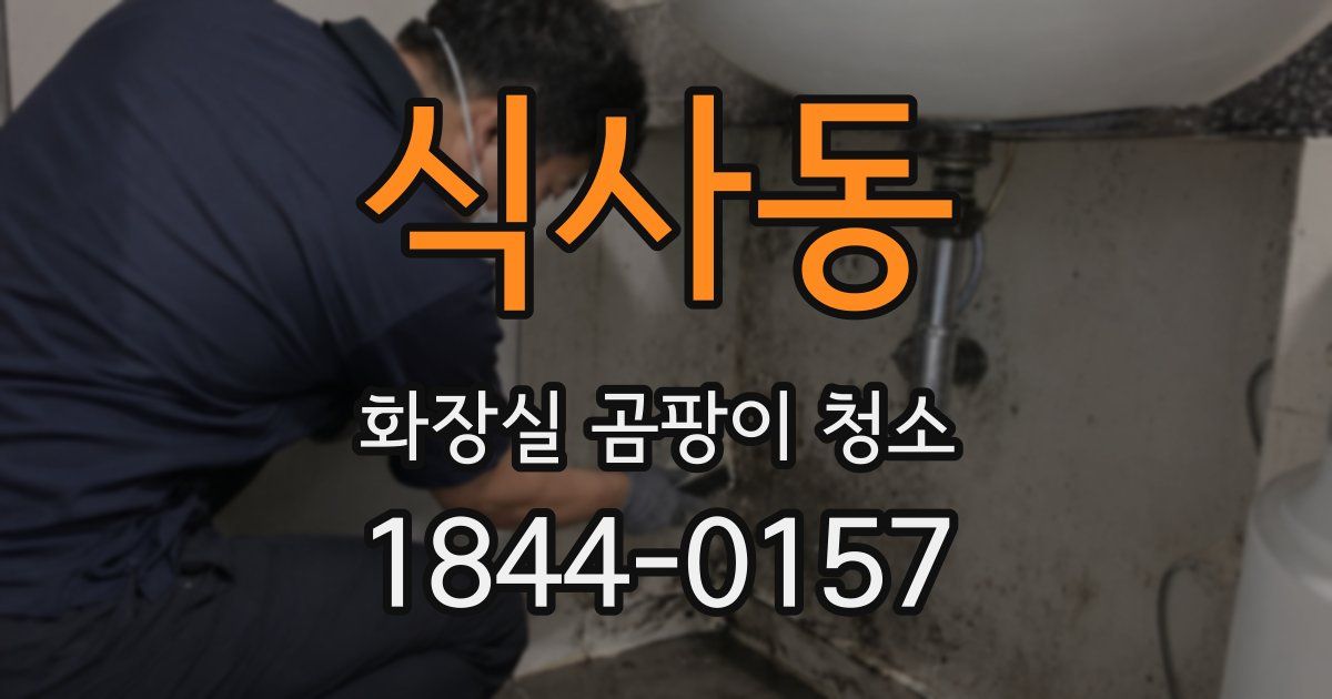 식사동 화장실 곰팡이 청소