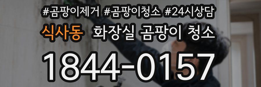 식사동 화장실 곰팡이 청소