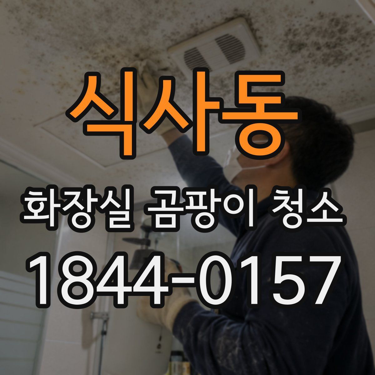 식사동 화장실 곰팡이 청소