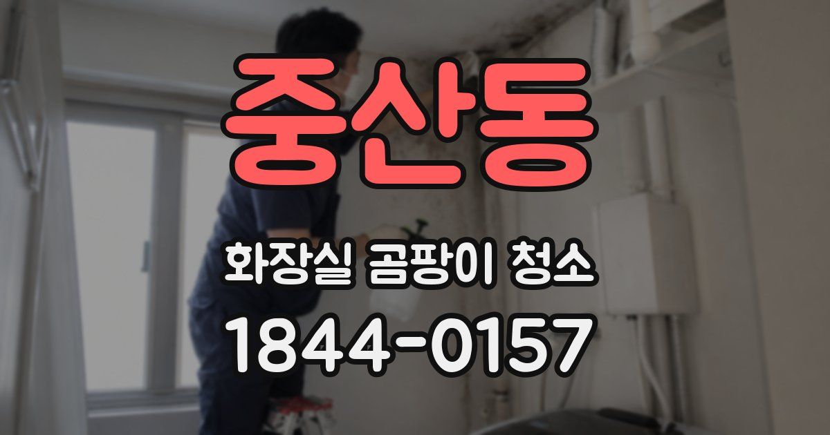 중산동 화장실 곰팡이 청소