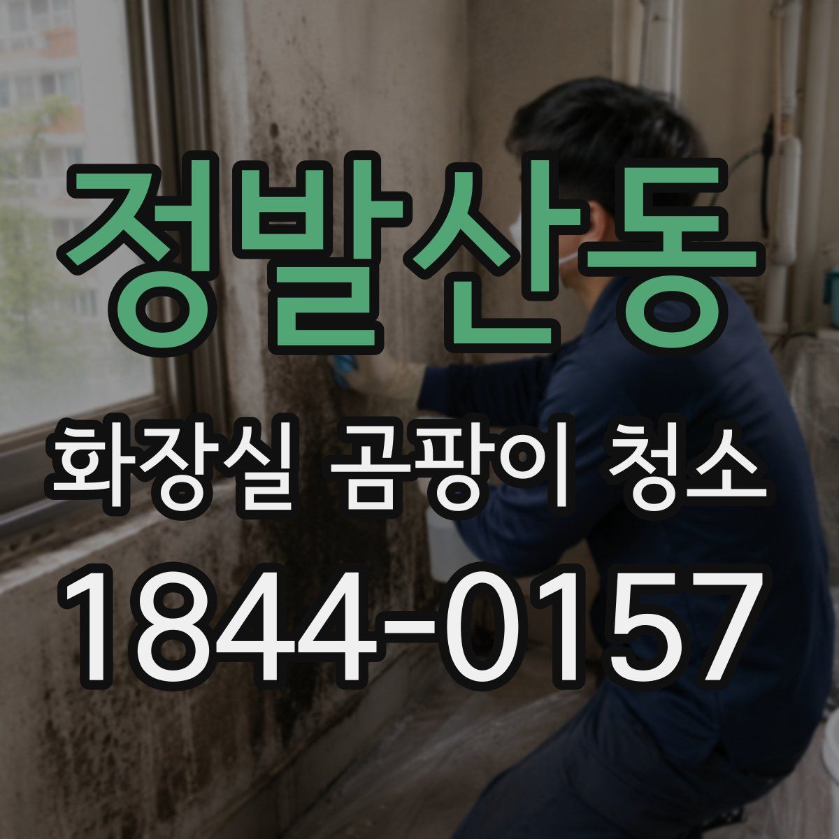 정발산동 화장실 곰팡이 청소