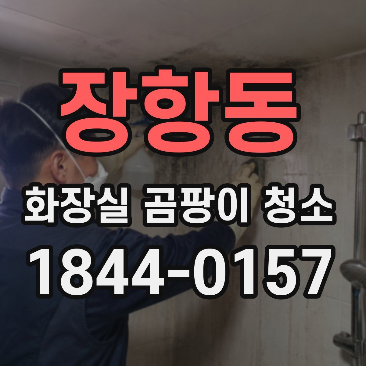 장항동 화장실 곰팡이 청소
