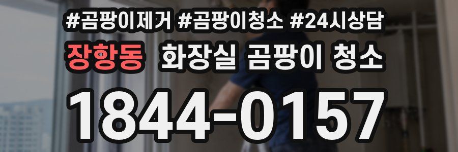 장항동 화장실 곰팡이 청소
