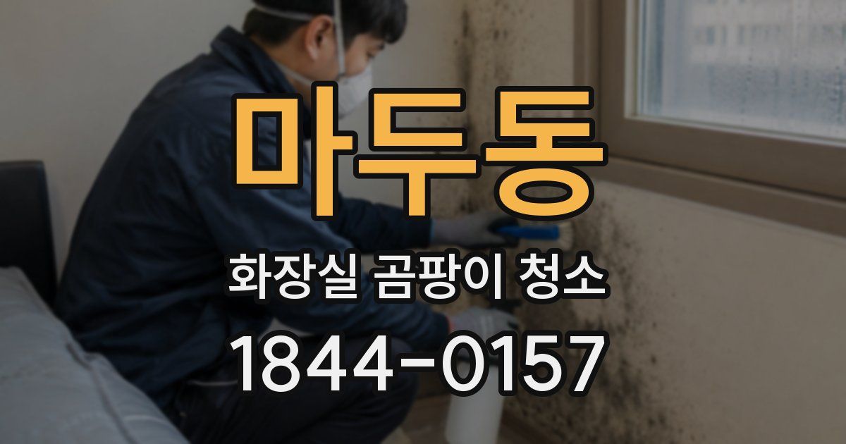 마두동 화장실 곰팡이 청소