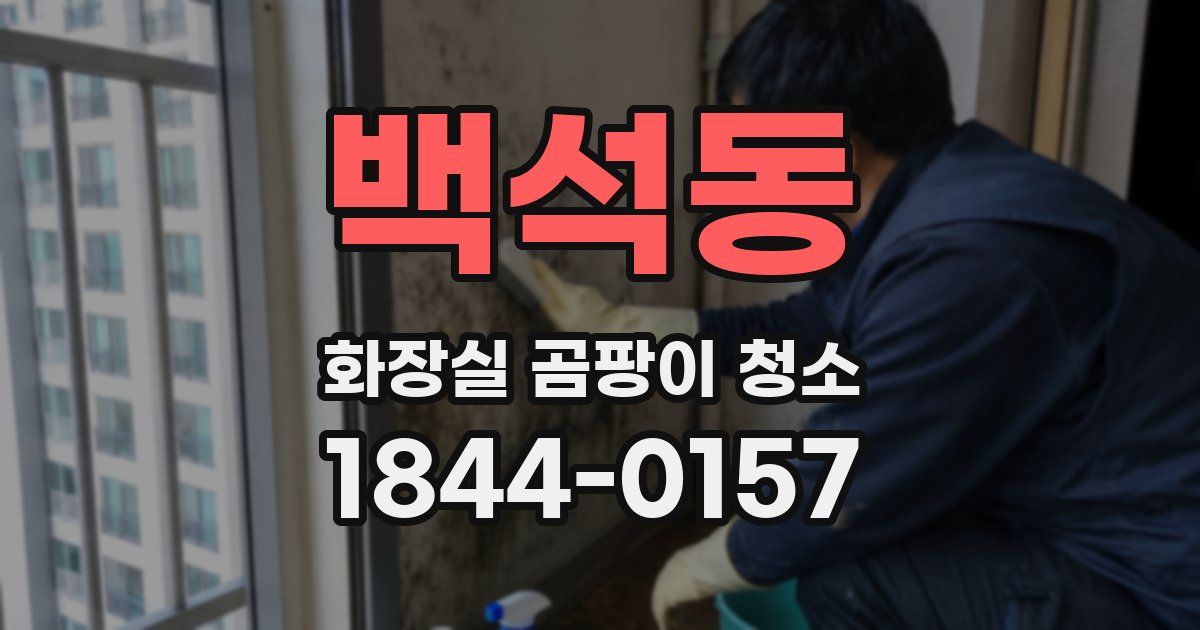 백석동 화장실 곰팡이 청소