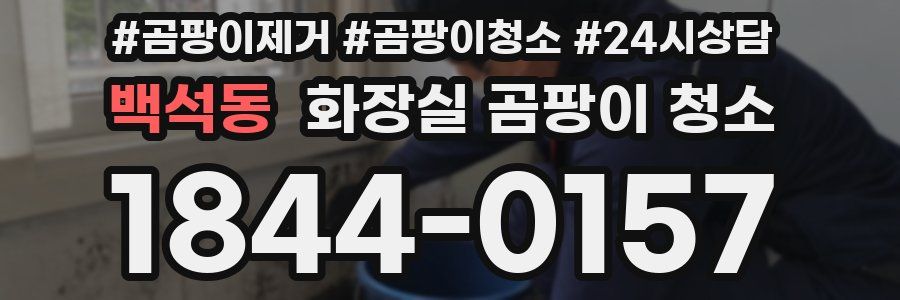 백석동 화장실 곰팡이 청소