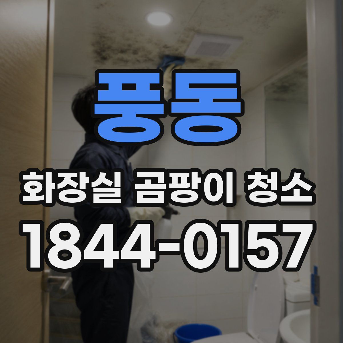 풍동 화장실 곰팡이 청소