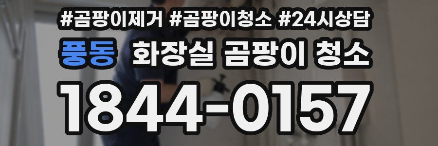 풍동 화장실 곰팡이 청소