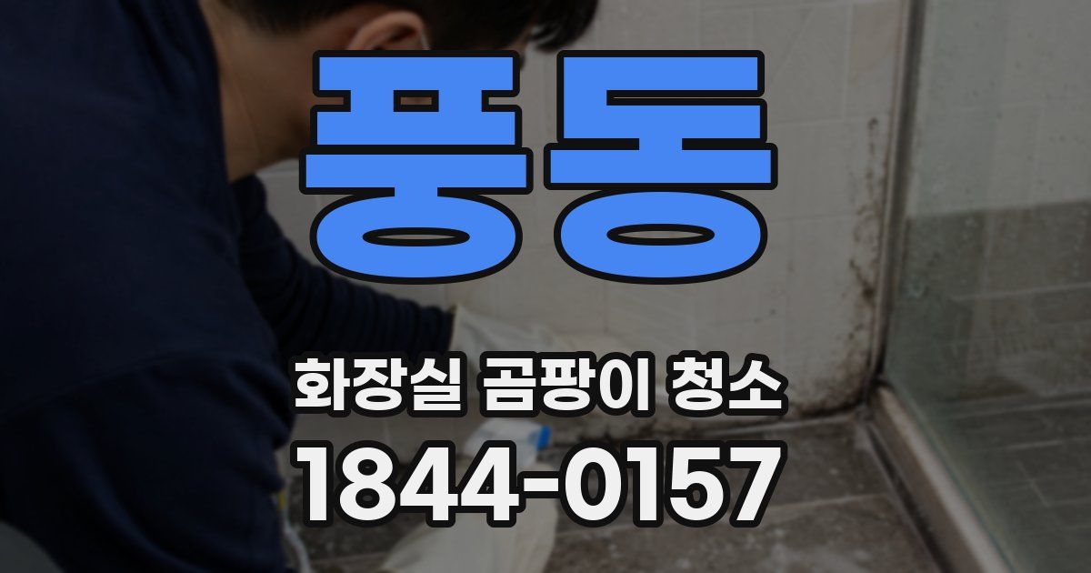 풍동 화장실 곰팡이 청소