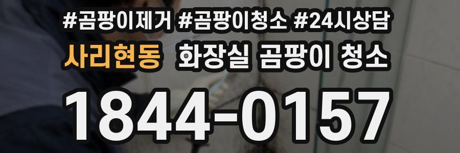 사리현동 화장실 곰팡이 청소