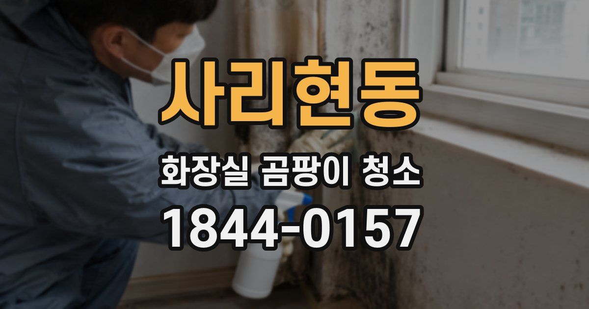사리현동 화장실 곰팡이 청소