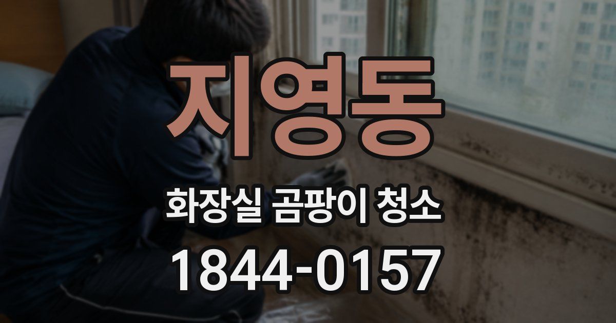 지영동 화장실 곰팡이 청소