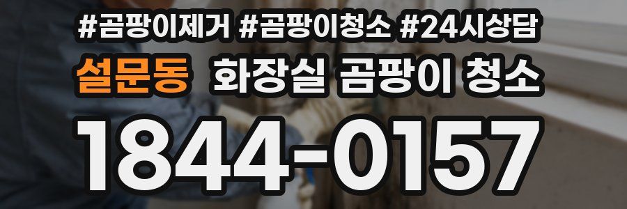 설문동 화장실 곰팡이 청소
